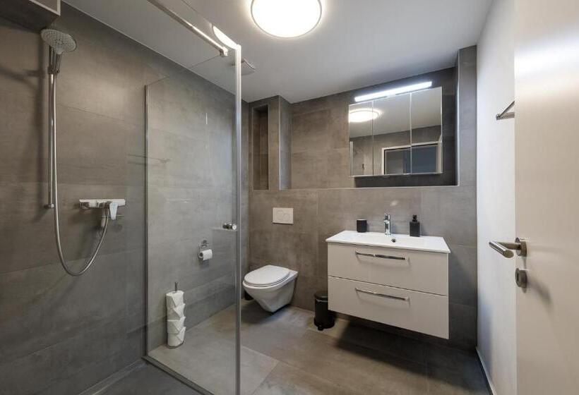 Апартаменты 1 Спальня, Welcome Apartments Spiez
