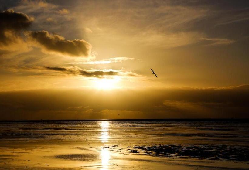 스탠다드 룸, Norfolk Accommodation