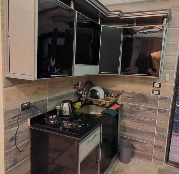 استودیوی استاندارد, Shabana House