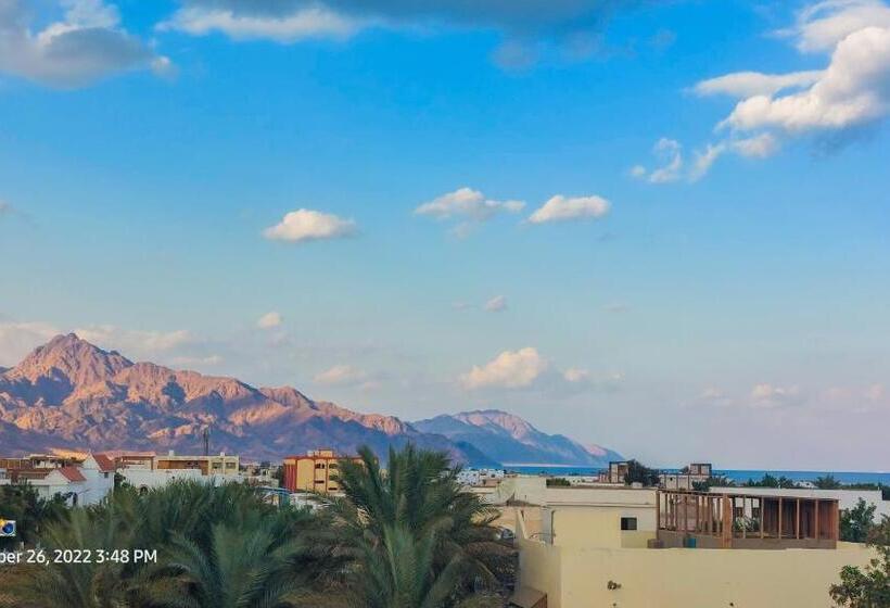 اتاق استاندارد سه نفره, Shabana House