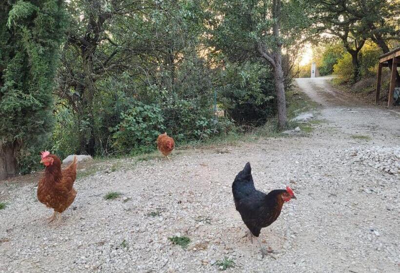 Апартаменты 1 Спальня Вид на Сад, Mas Des Marcellines