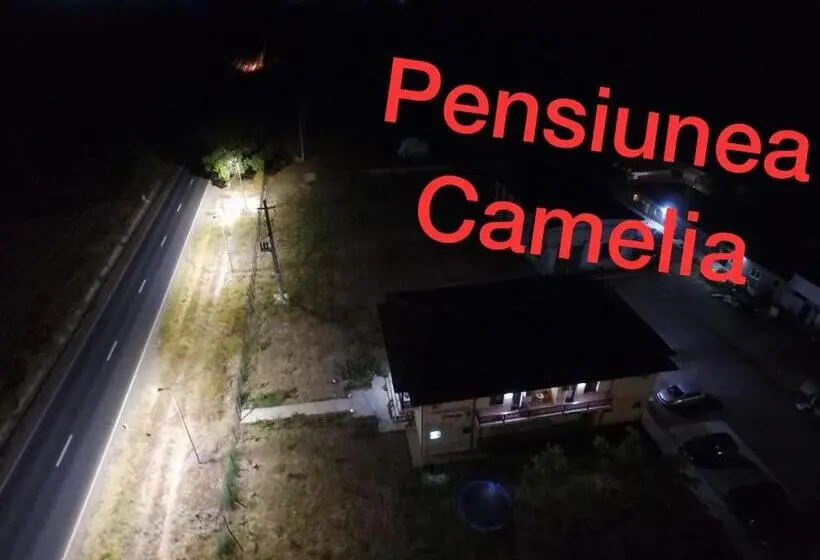 スタンダードルーム, Pensiunea Camelia