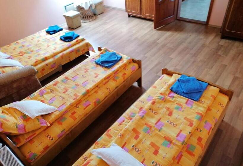 اتاق سوپریور با تخت بزرگ, Pensiunea Fábián Vendégház