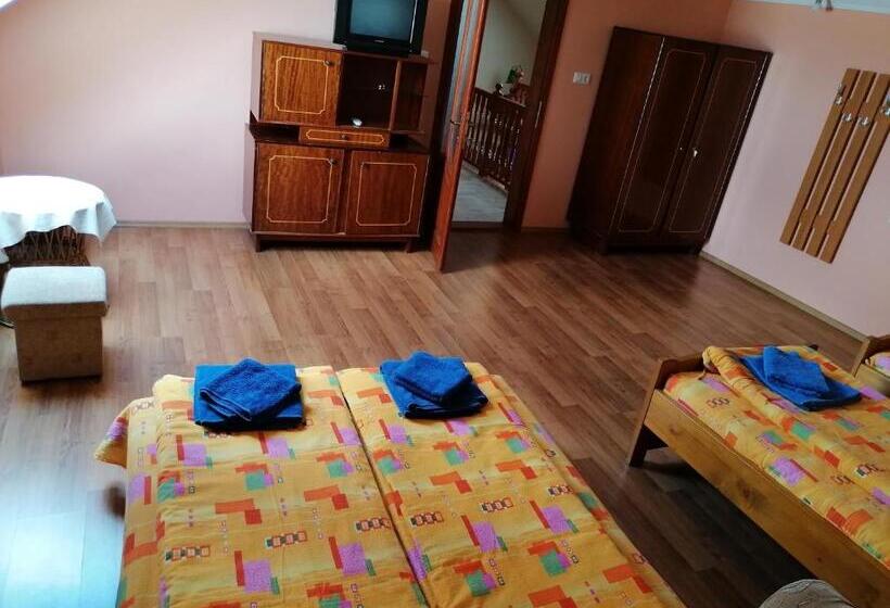 اتاق سوپریور با تخت بزرگ, Pensiunea Fábián Vendégház