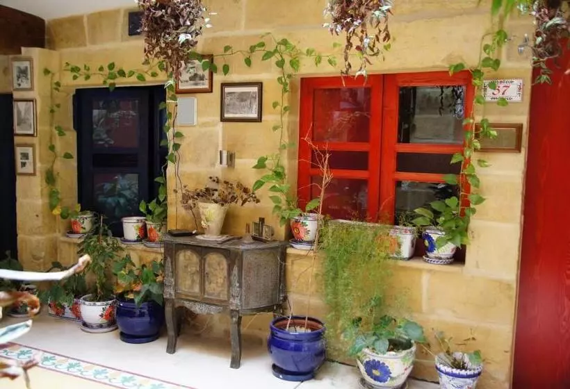 اتاق اکونومی, Luciano Valletta Boutique