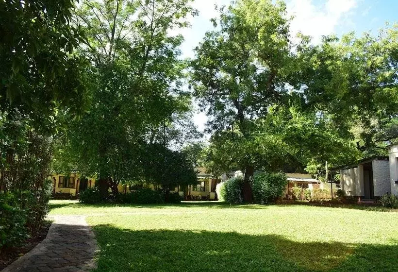 تختخواب در اتاق مشترک, Shoestrings Backpackers Lodge Vic Falls
