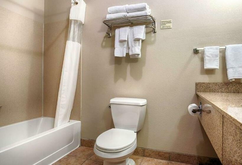 חדר סטנדרט עם מיטת קינג, Best Western Plus Eastgate Inn & Suites