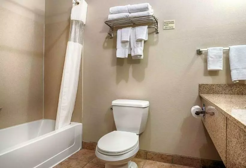 キングサイズベッドのスタンダードルーム, Best Western Plus Eastgate Inn & Suites