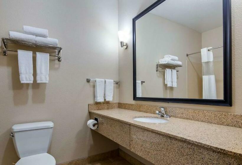 带大床的标准间, Best Western Plus Eastgate Inn & Suites