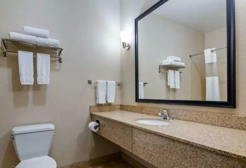 キングサイズベッドのスタンダードルーム, Best Western Plus Eastgate Inn & Suites
