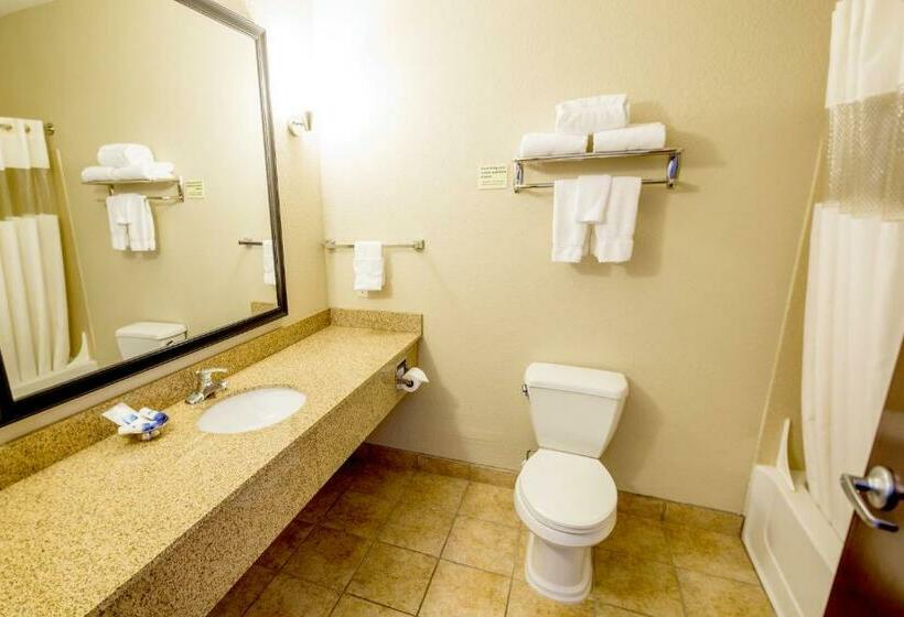 Стандартный Номер Кровать Кинг, Best Western Plus Eastgate Inn & Suites