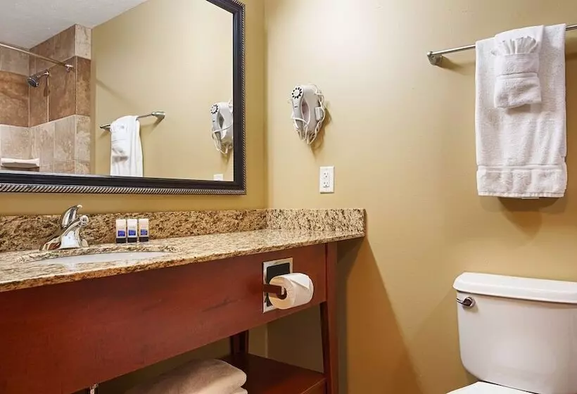 Sviitti, Best Western Plus Grand Island Inn And Suites