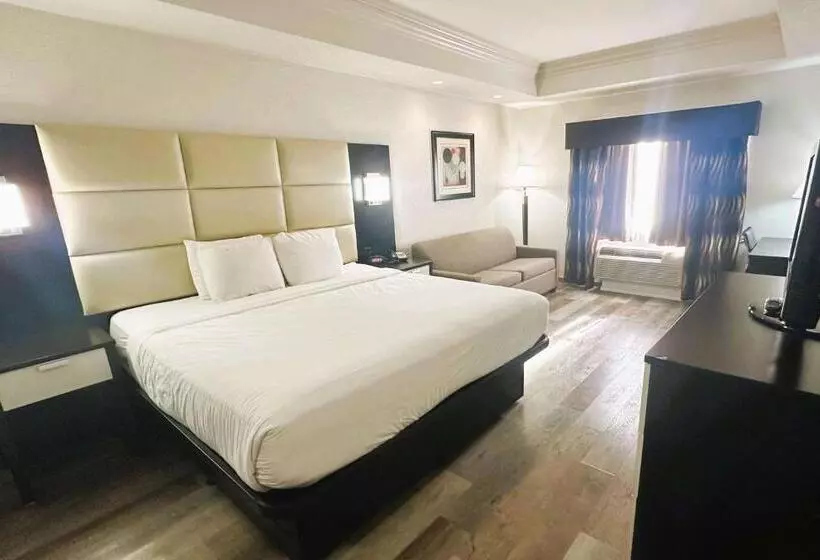 キングサイズベッドのスタンダードルーム, Best Western Plus Jfk Inn & Suites