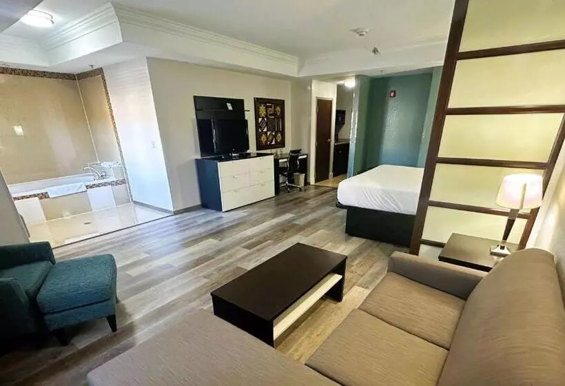 キングサイズベッドのスイートルーム, Best Western Plus Jfk Inn & Suites