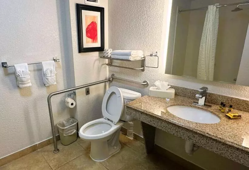 身障者適用スタンダードルーム, Best Western Plus Jfk Inn & Suites