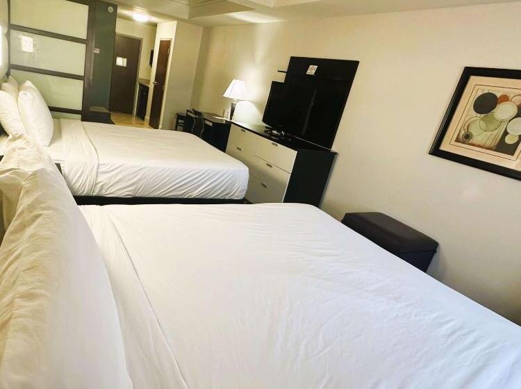 Люкс, Best Western Plus Jfk Inn & Suites