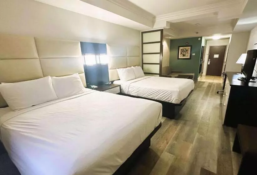 スイート, Best Western Plus Jfk Inn & Suites