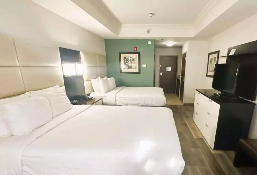 スタンダードルーム, Best Western Plus Jfk Inn & Suites