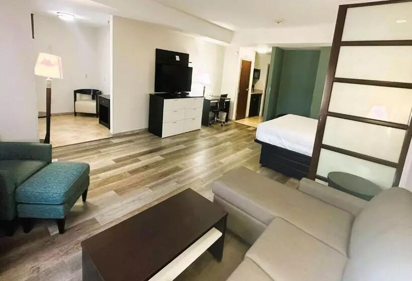 スイート, Best Western Plus Jfk Inn & Suites