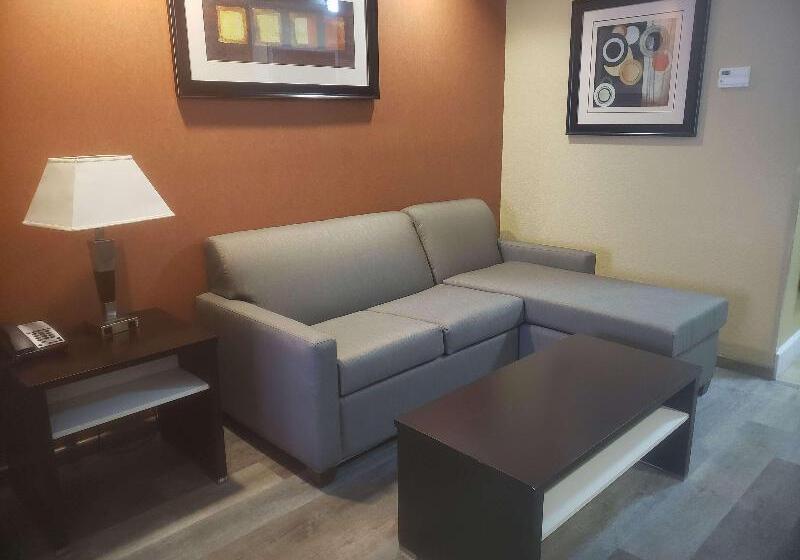 اتاق استاندارد با تخت بزرگ, Best Western Plus Jfk Inn & Suites