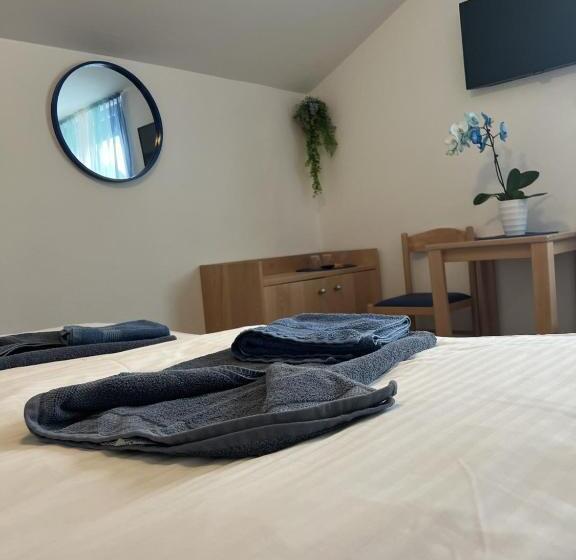 اتاق سوپریور, Pension Ttt