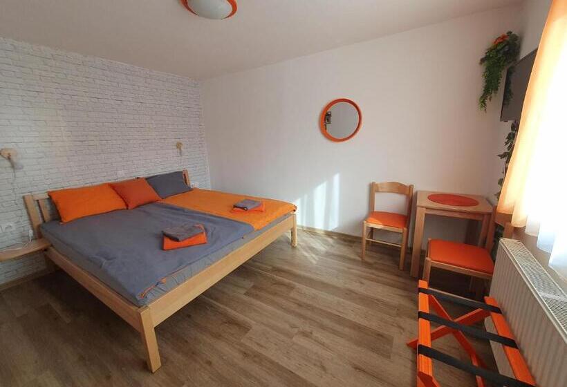 اتاق سوپریور, Pension Ttt