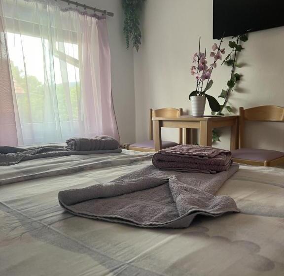 اتاق سوپریور, Pension Ttt