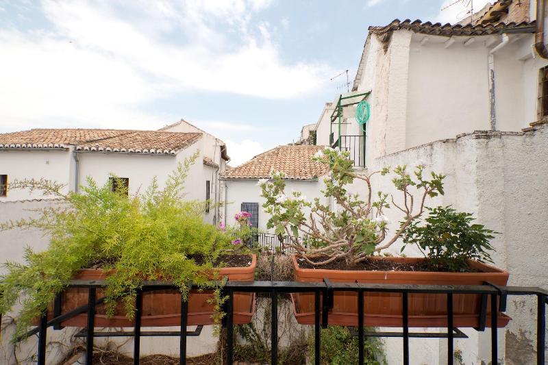 تختخواب در اتاق مشترک, Oasis Backpackers Hostel Granada