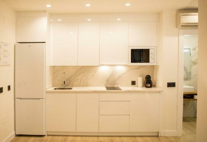 آپارتمان دوبلکس 1 خوابه, Apartamentos Málaga Premium   Calle San Telmo