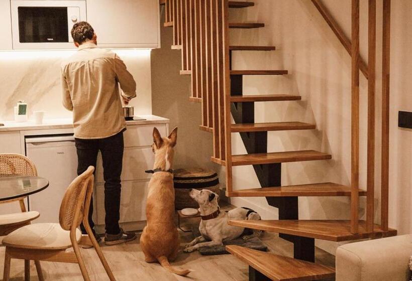 آپارتمان دوبلکس 1 خوابه, Apartamentos Málaga Premium   Calle San Telmo