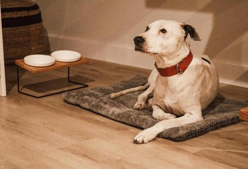 آپارتمان دوبلکس 1 خوابه, Apartamentos Málaga Premium   Calle San Telmo