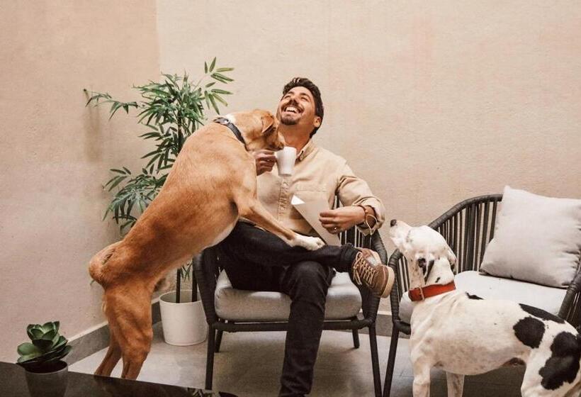 آپارتمان دوبلکس 1 خوابه, Apartamentos Málaga Premium   Calle San Telmo