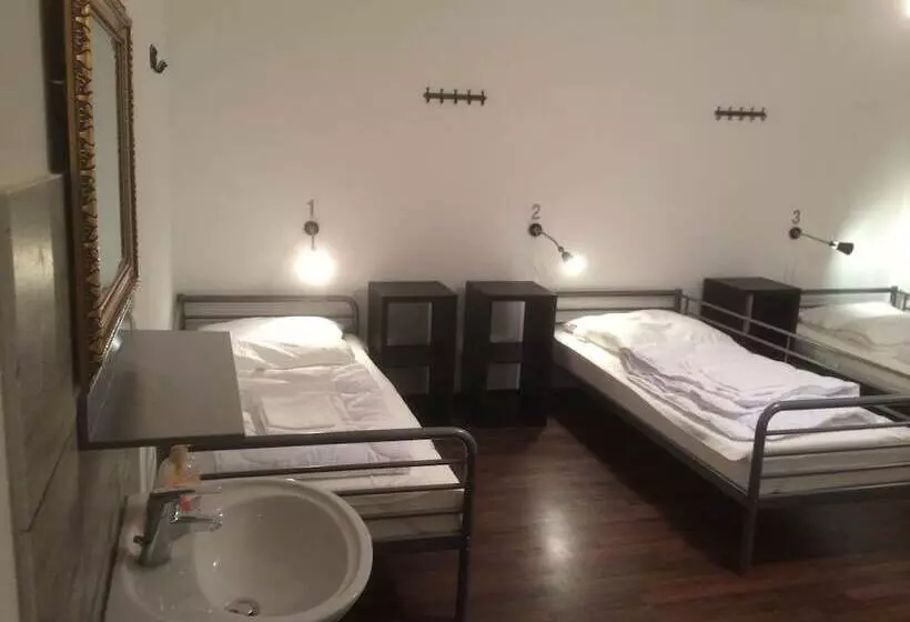 Standard-huone Jaettu Kylpyhuone, Station Hostel For Backpackers