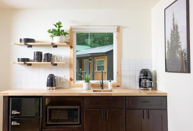 豪华工作室, The Rex