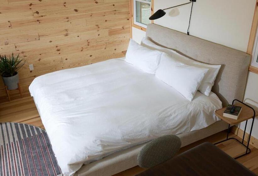 豪华工作室, The Rex