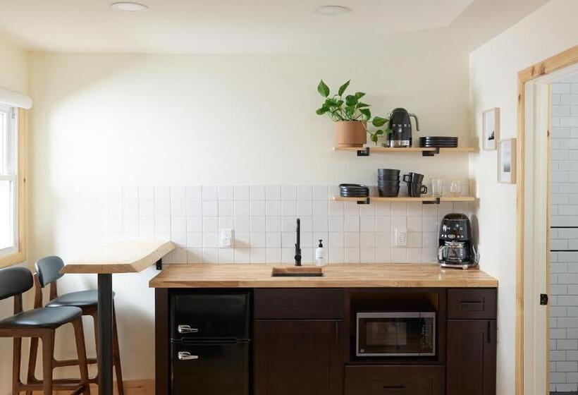 豪华工作室, The Rex