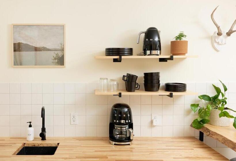 标准工作室, The Rex