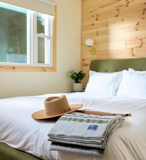 标准工作室, The Rex