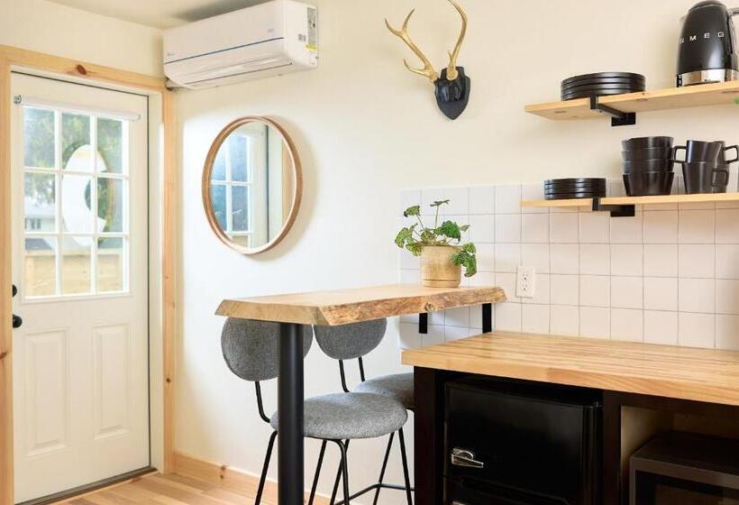 标准工作室, The Rex