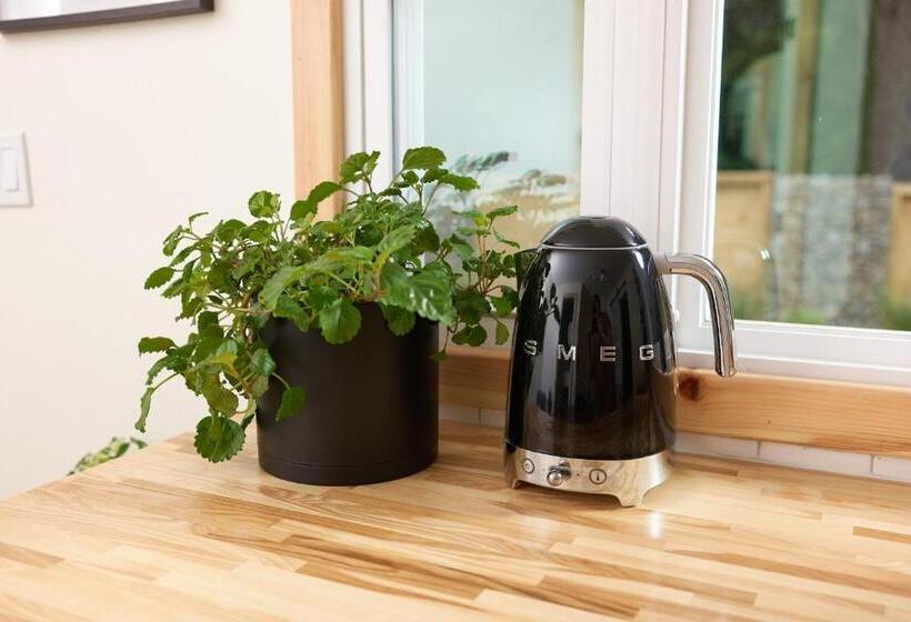 带大床的复式套间, The Rex