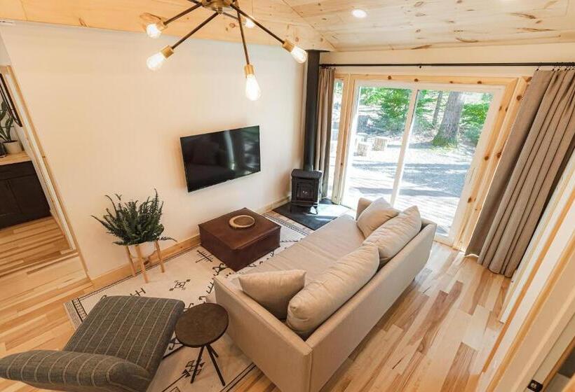 家庭套房, The Rex