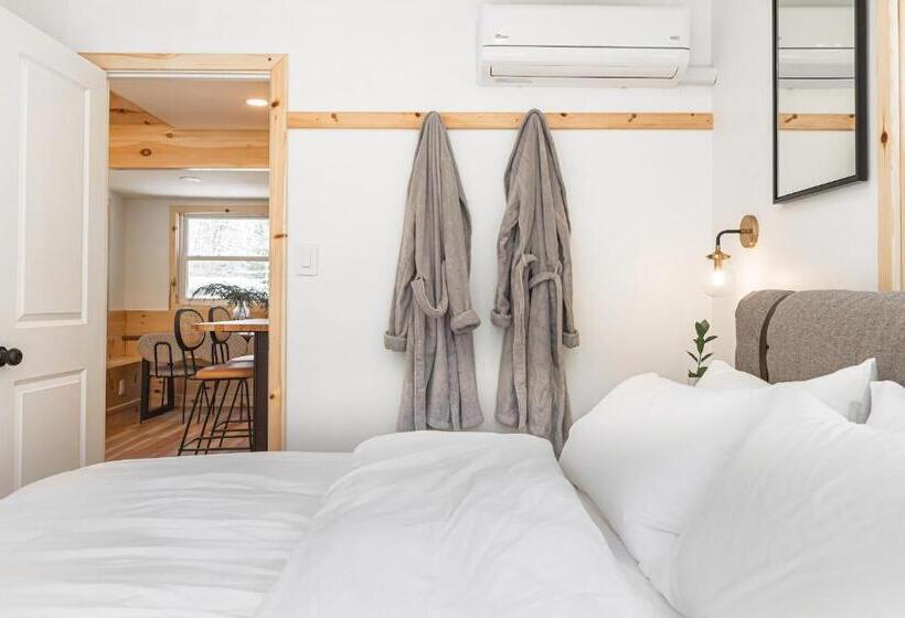 家庭套房, The Rex