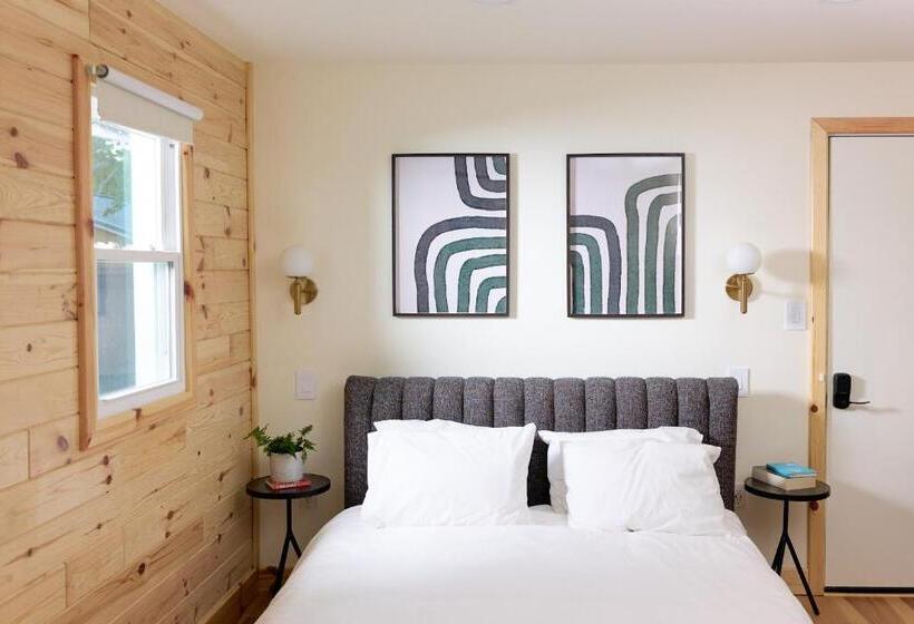 豪华工作室, The Rex