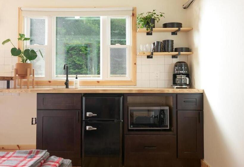 豪华工作室, The Rex