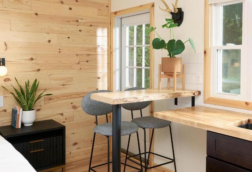 豪华工作室, The Rex