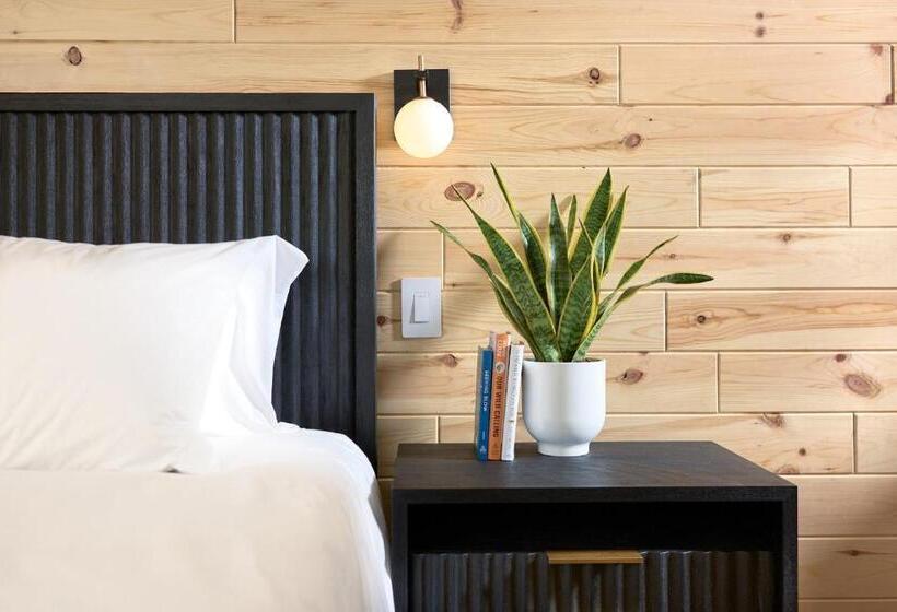 豪华工作室, The Rex