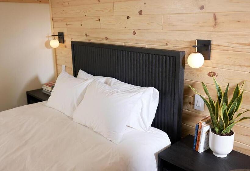 豪华工作室, The Rex