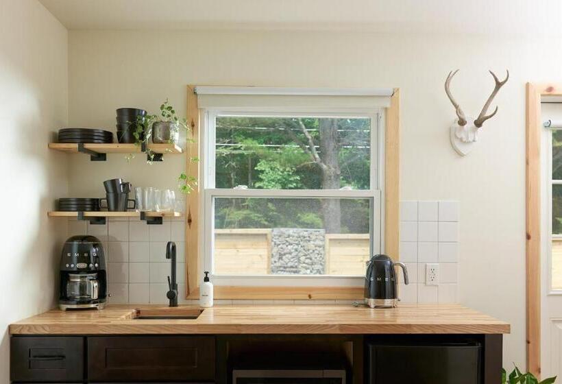 豪华工作室, The Rex