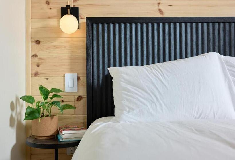 标准工作室, The Rex