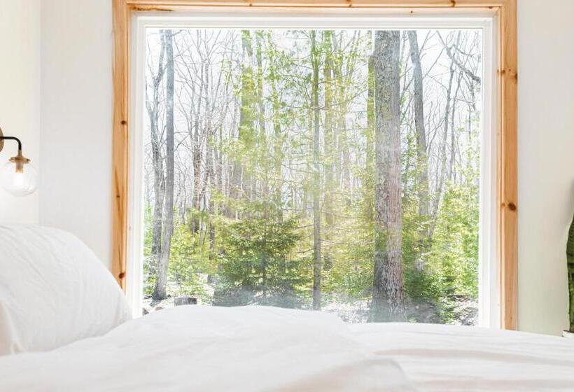 家庭套房, The Rex